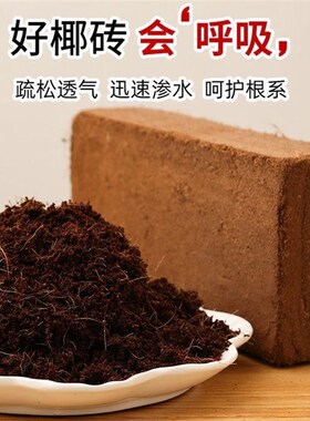 速发椰砖营养土椰糠壤土脱种透气兰花多肉盐菜养花专用土椰通用型
