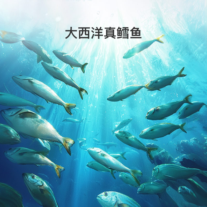 亲宝宝鱼籽鳕鱼肠真鱼肉儿童零食无添加香精健康肉肠