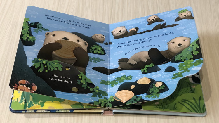 Usborne Peep Inside the Seashore 偷偷看里面系列 海岸 英文原版洞洞书 儿童启蒙纸板机关翻翻书 边玩边学 尤斯伯恩