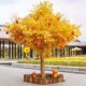 Simulation Wishing Tree Gold Money Tree Making Fortune