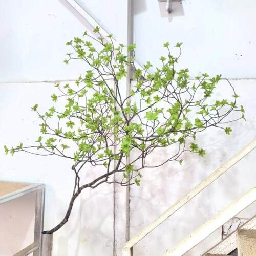 仿真吊钟树马醉木别墅室内茶室橱窗装饰假树绿植落地景观造景盆景 - 图0