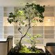 Simulated horseshoe wood, artificial trees, landscaping decoration, bionic green plants