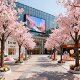 Simulated cherry blossom tree, peach blossom fake tree, large wishing tree