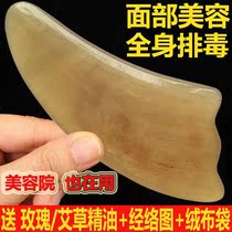 Horn scraping plate facial beauty full-body universal facial theorizer dial gluten eye special tool back head