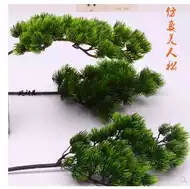 松柏盆景盆栽 新人首单立减十元 21年8月 淘宝海外