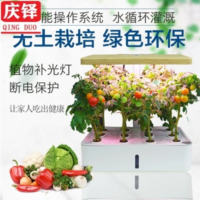 育苗盘水耕 新人首单立减十元 21年9月 淘宝海外