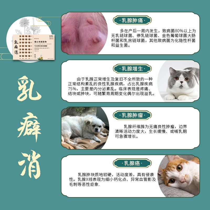 乳癖消宠物狗狗猫咪乳腺炎乳腺增生肿块消肿犬乳腺肿瘤活血化瘀药