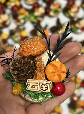 手工创意云南天然野生蘑菇冰箱贴