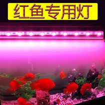 100 million Win Red Fish Lamp Waterproof Led Fish Tank Lamp Lighting Red Dragon Rohan Growth Red Parrot Fish Special Light Tubes
