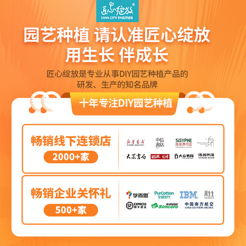 匠心绽放儿童种植盆栽向日葵种子凤仙花波斯菊幼儿园学生种花植物 - 图3