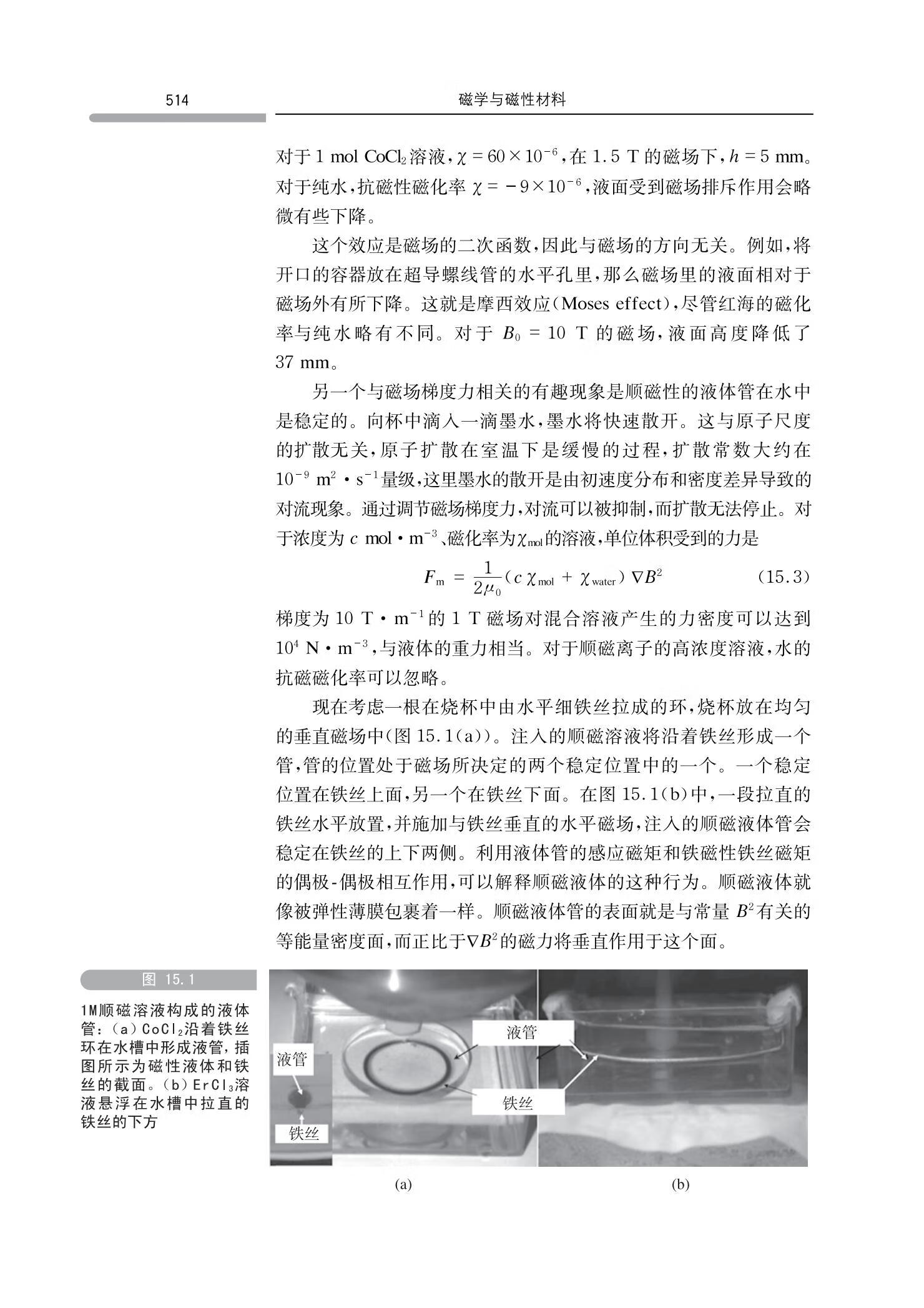 物理学名家名作译丛 磁学与磁性材料 杰·姆·德·柯艾 著 韩秀峰等 译 中国科学技术大学出版社 - 图2