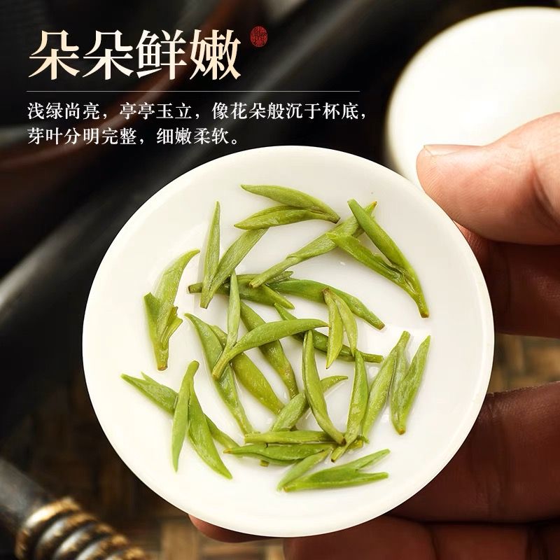 景福山 特级毛尖新茶绿茶明前花果香春季嫩芽浓香型耐泡茶叶罐装 - 图2