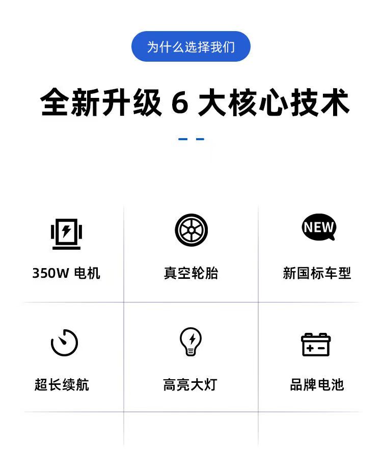 雅迪帮上牌新国标同款电动车成人新款两轮电动自行车锂电池电瓶车 - 图2