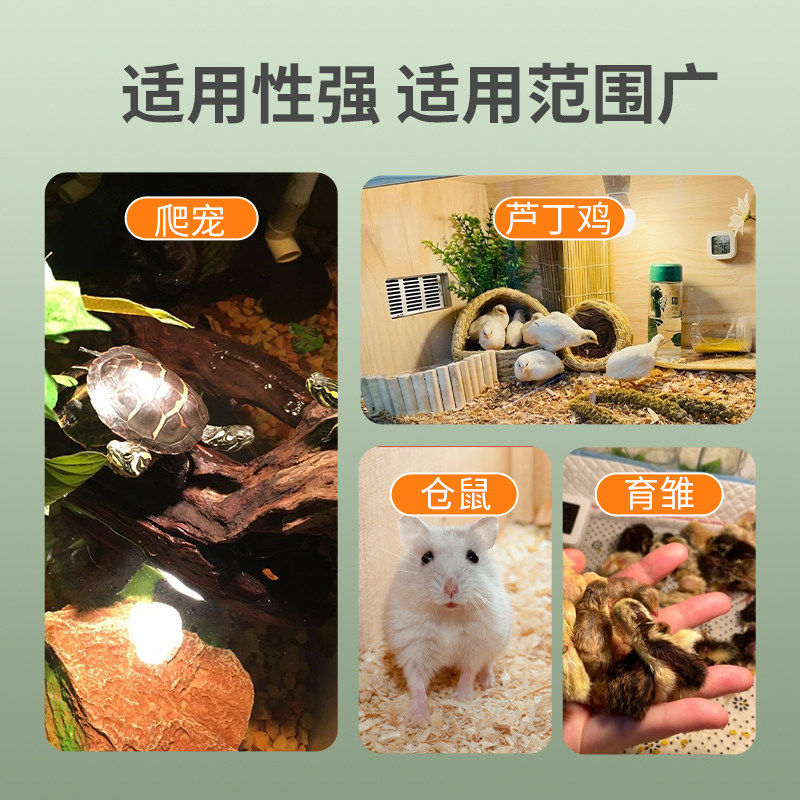 新款乌龟晒背灯爬宠取暖加热太阳灯补钙陶瓷灯泡蜥蜴芦丁鸡保温灯,淘宝优惠券,粉丝福利购,淘宝优惠卷