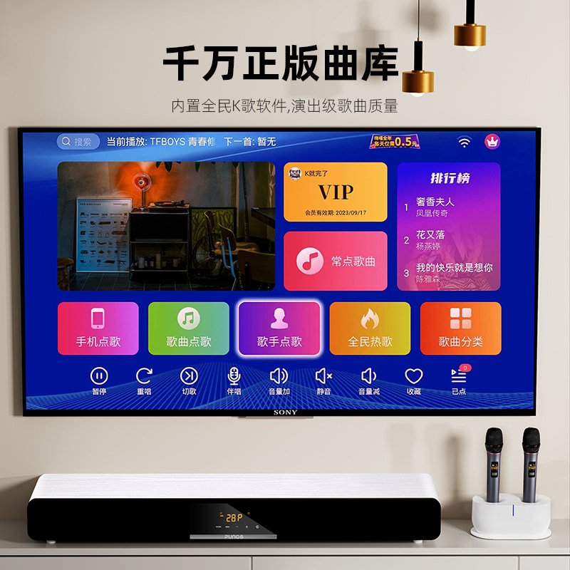 punos28 / 28pro ktv套装全套音响 PunosKTV/卡拉OK音箱