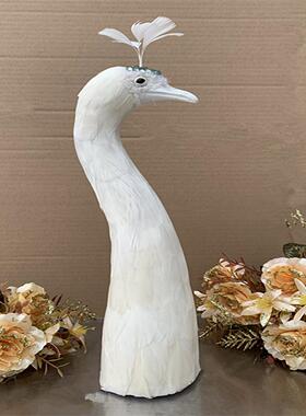 仿真孔雀头模型宴道具仿真羽毛孔雀头餐桌模型摆件白孔雀仿真动物