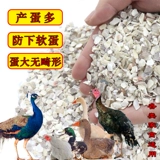 Птица раковина порошок порошок курицы корм для курицы курица едят яйца, кальций и кальциево -раковина раковина раковина раковина голубь