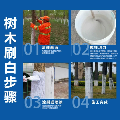 Дайте -щетки щетки щетки щетки дерево.