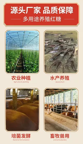 Перекрестная глюкоза промышленные удобрения EM Бактерии ферментированные животные сараи и животноводство
