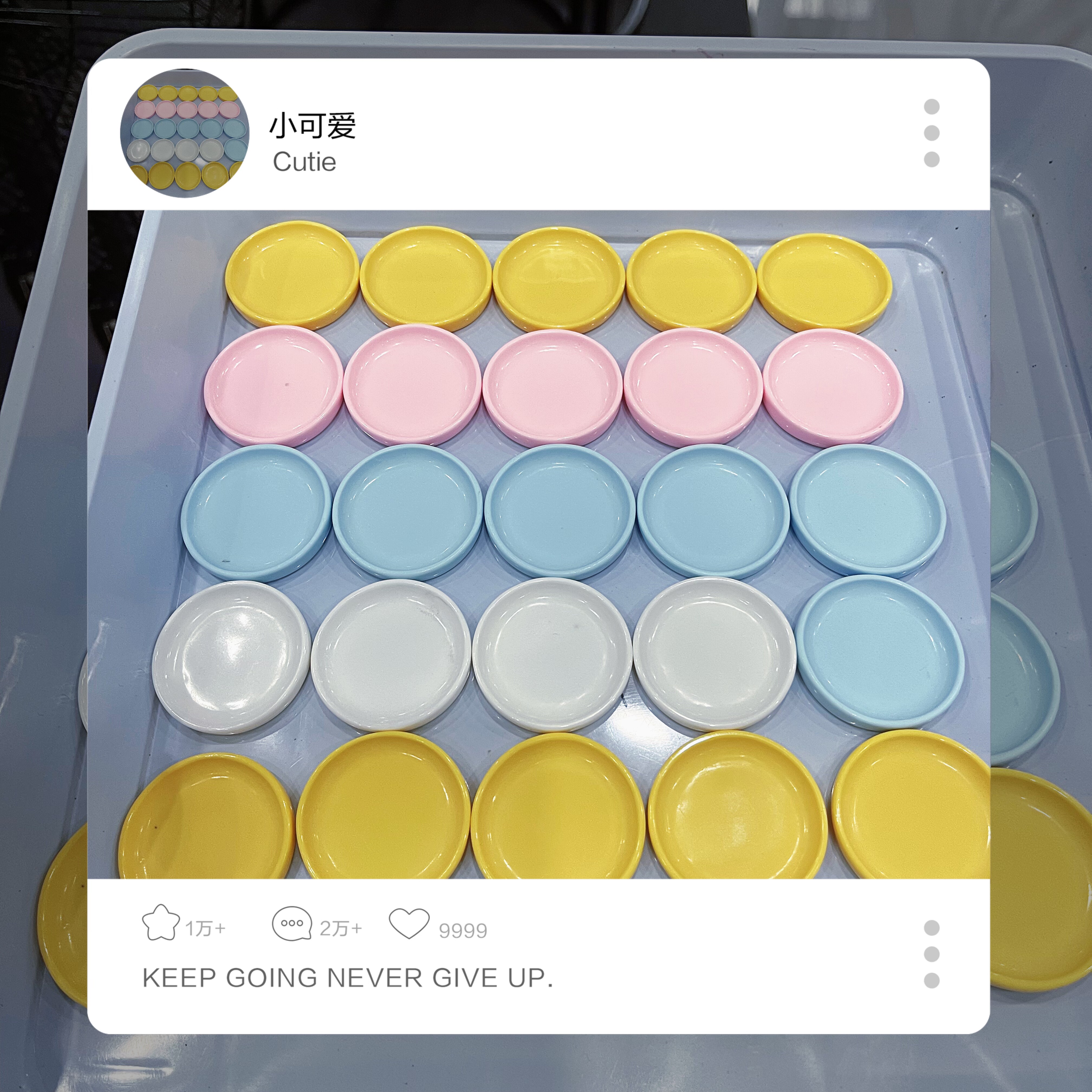 爬宠食盆果泥盘食碟碗睫角守宫蜥蜴盖勾亚R属亚成体及成体适用 - 图0