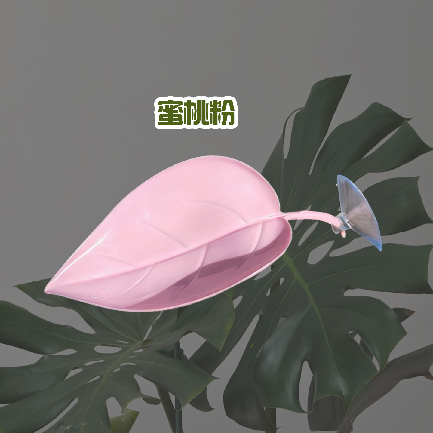爬宠树叶悬浮窝吸盘仿真植物躲避攀爬树栖造景睫角守宫R属树蛙,淘宝优惠券,粉丝福利购,淘宝优惠卷