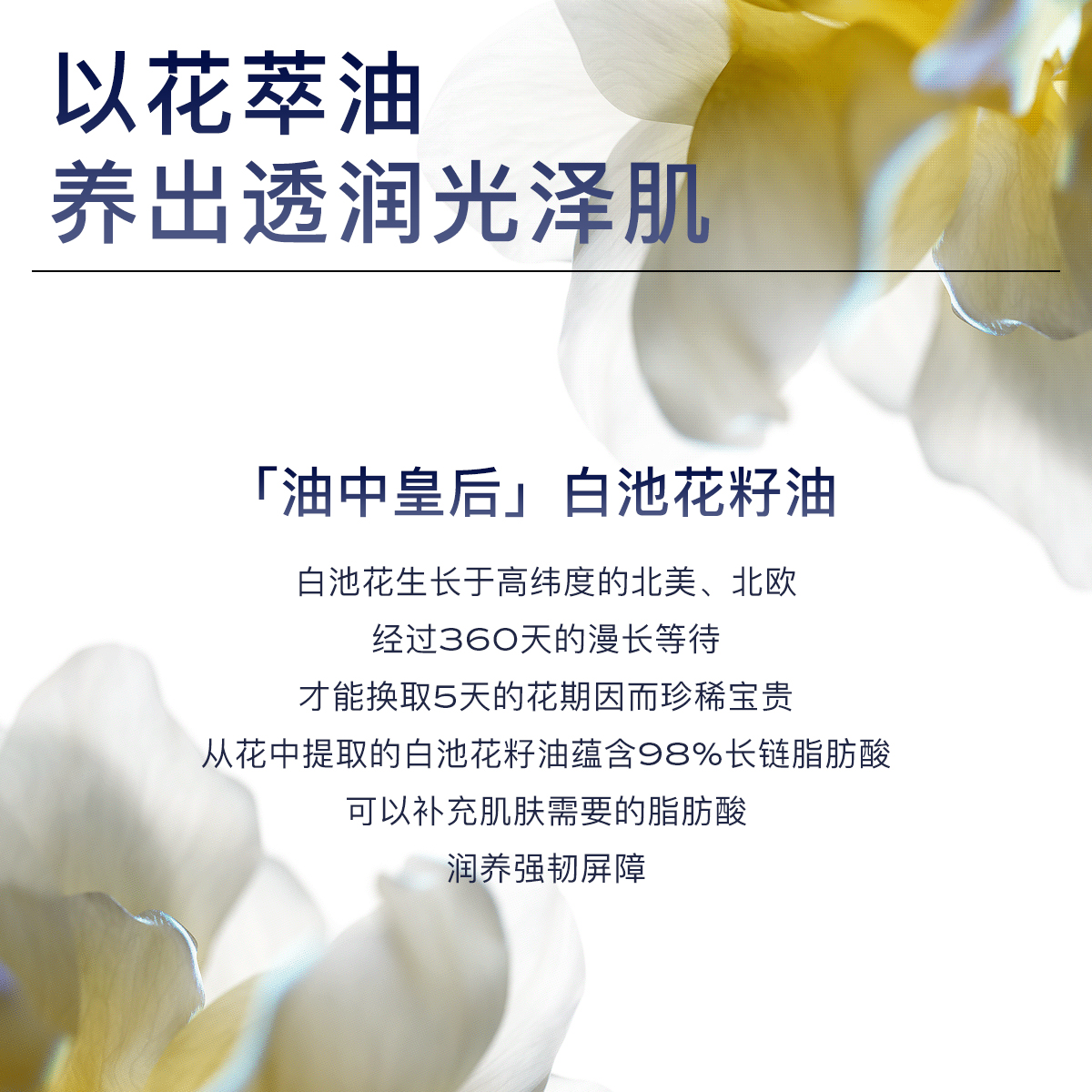 MOOKLOOK/茉珂传明酸集光亮肤乳补水保湿滋润焕亮肌肤柔润光泽