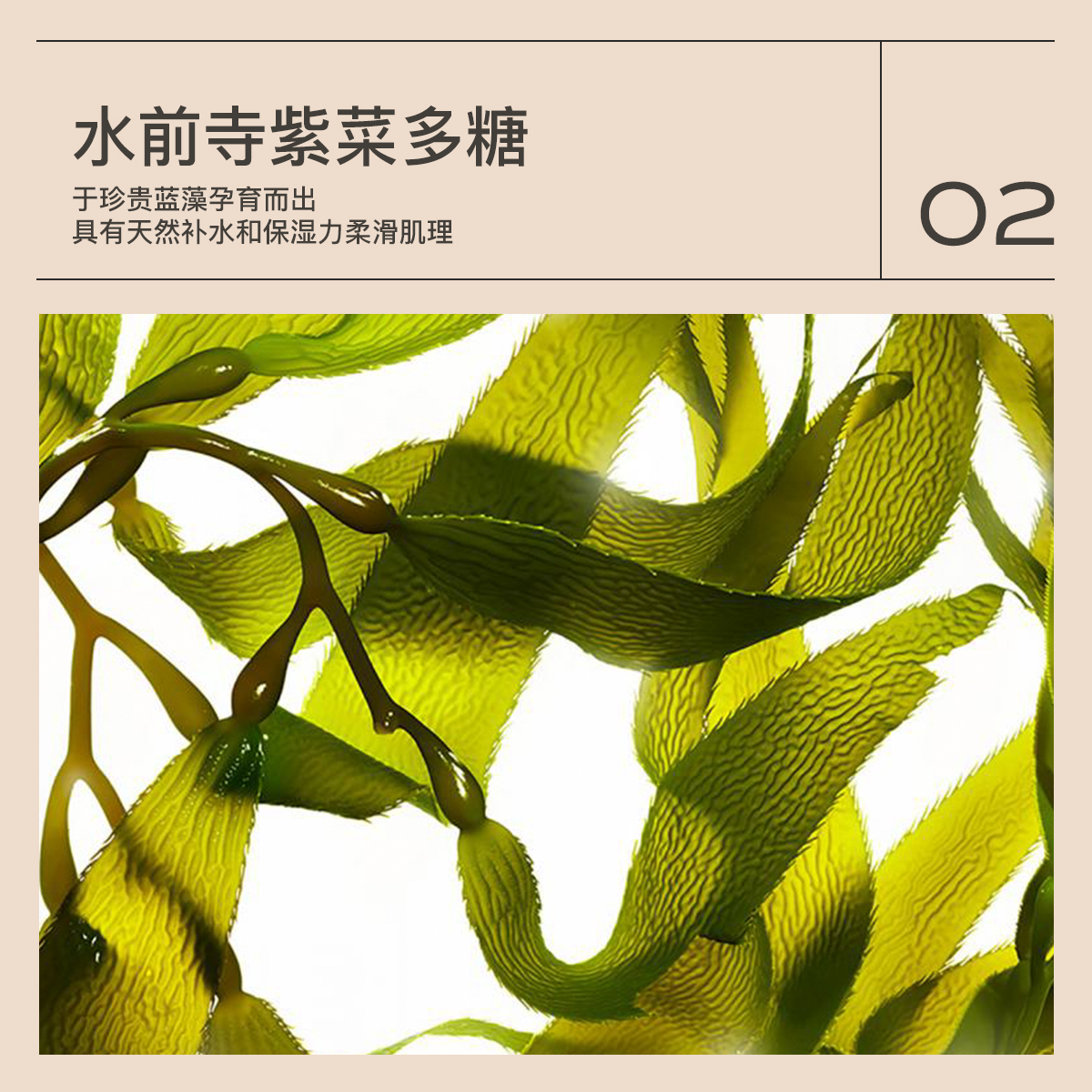 MOOKLOOK茉珂多肽舒颜柔嫩水保湿嫩肤充盈肌肤爽肤水