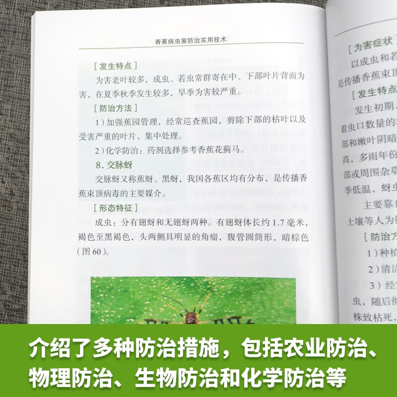 香蕉病虫害防治实用技术齐会会香蕉种植技术香蕉病虫害防治新技术香蕉除虫用药指南香蕉种植生产技术书香蕉种植栽培技术大全书籍 - 图2