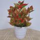 Simulated potted plants, fake green plants, simulated flowers, Internet cafes, hotel clubs, living rooms, office decorations, flowers
