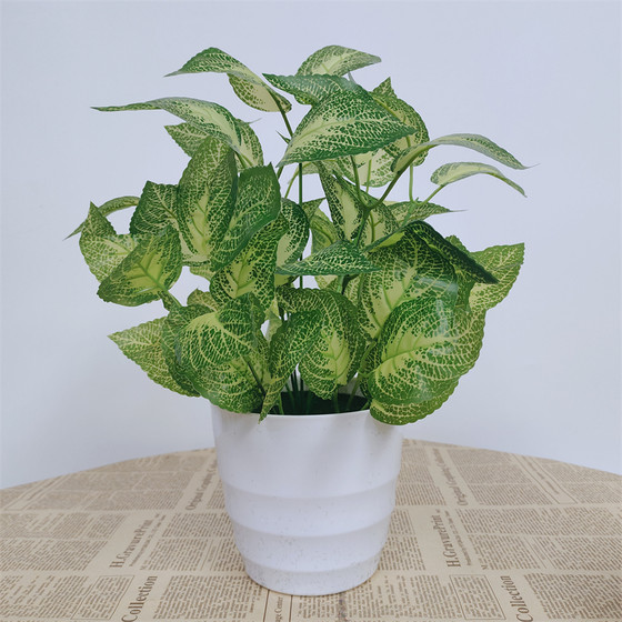 Simulated potted plants, fake green plants, simulated flowers, Internet cafes, hotel clubs, living rooms, office decorations, flowers