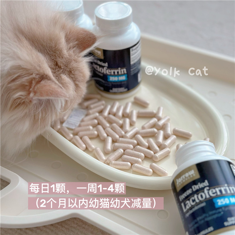 蛋黄猫猫/分装正装jarrow杰诺乳铁蛋白猫咪狗狗提高免疫调理肠胃,淘宝优惠券,粉丝福利购,淘宝优惠卷