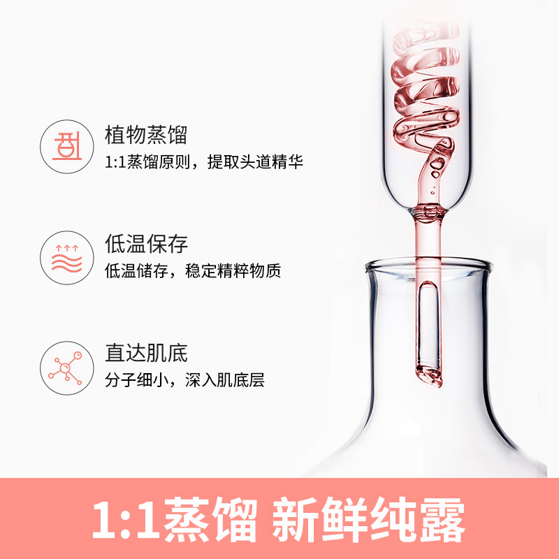 玫瑰蓝莲花纯露组合补水控油花水 真颜分子纯露/花水