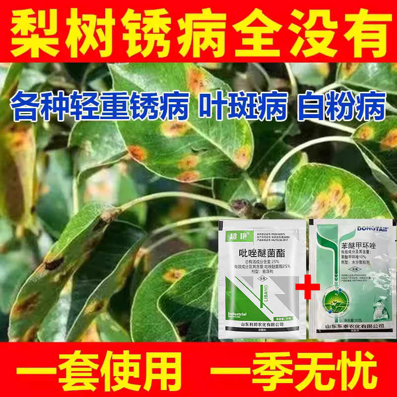 梨树锈病专用梨树杀菌剂梨树铁锈病白粉病梨树专用杀菌梨树增产药 - 图0