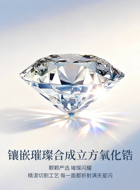 雪花项链女款轻奢小众高级感