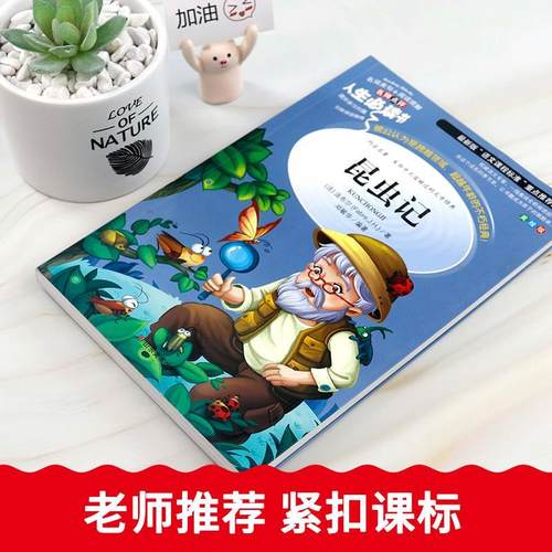 昆虫记五六年级自然科学类法让·亨利·法布尔著正版彩绘版名师导读带批注三四年级小学5-6年级上下册阅读推荐目录山东美术出版社 - 图1
