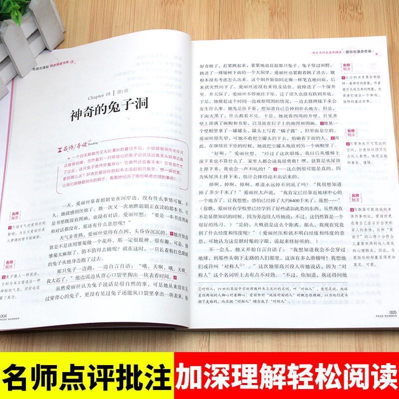 爱丽丝漫游奇境记正版书爱丽丝梦游仙境书刘易斯卡罗尔原著完整无删减版名师导读带批注读后感考点六年级下册必读快乐读书吧推荐-图1