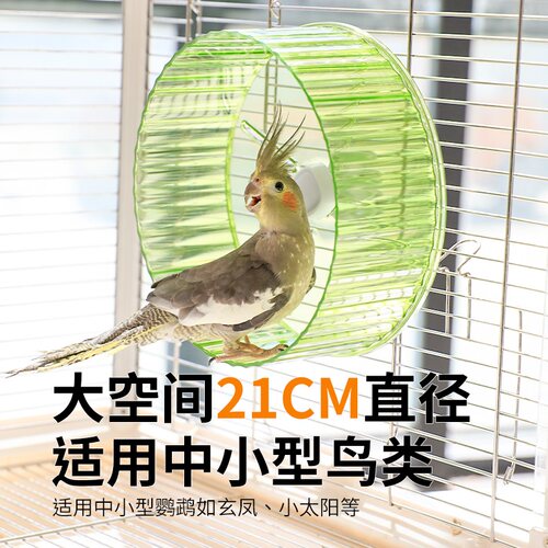虎皮鹦鹉玩具转盘解闷自嗨牡丹鹦鹉跑轮发泄玩具鸟笼装饰用品大全 - 图3