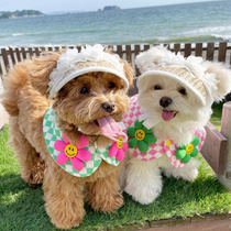 Pet Small Pooch Special Hat Shading Cap Small Grass Hat Small Dog Kitty summer sunscreen teddy Bears