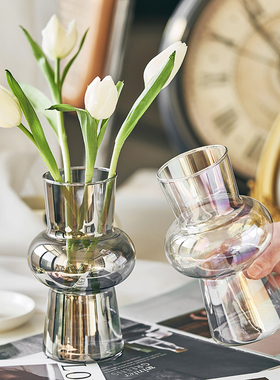 兰泽北欧ins风玻璃花瓶破损包赔