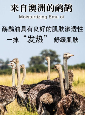 鸸鹋油正品官方旗舰店澳洲进口原装鸵鸟油全身体通经络按摩透骨膏