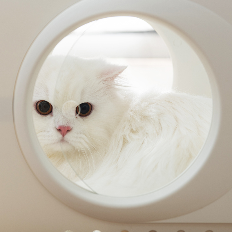 Clear beauty and cleaning pet drying air silent home use