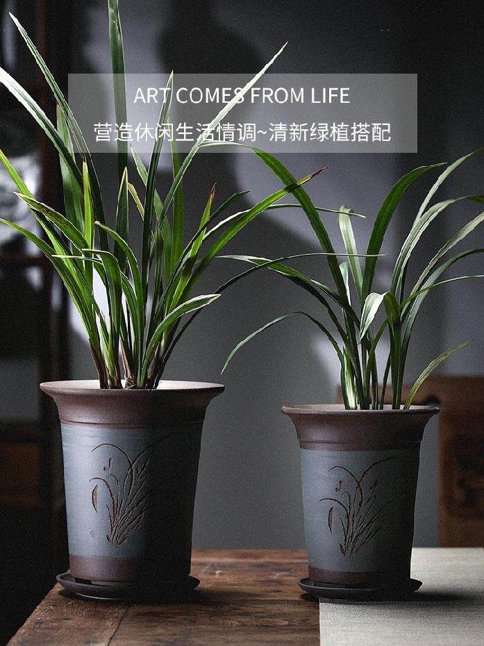 万年青花盆 新人首单立减十元 21年7月 淘宝海外