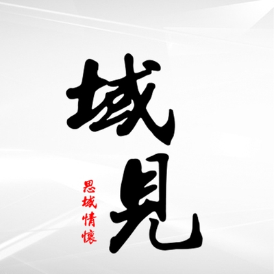 思域贴纸外观改装 域见潮流个性侧门车贴 十代j八代车身侧面汽车