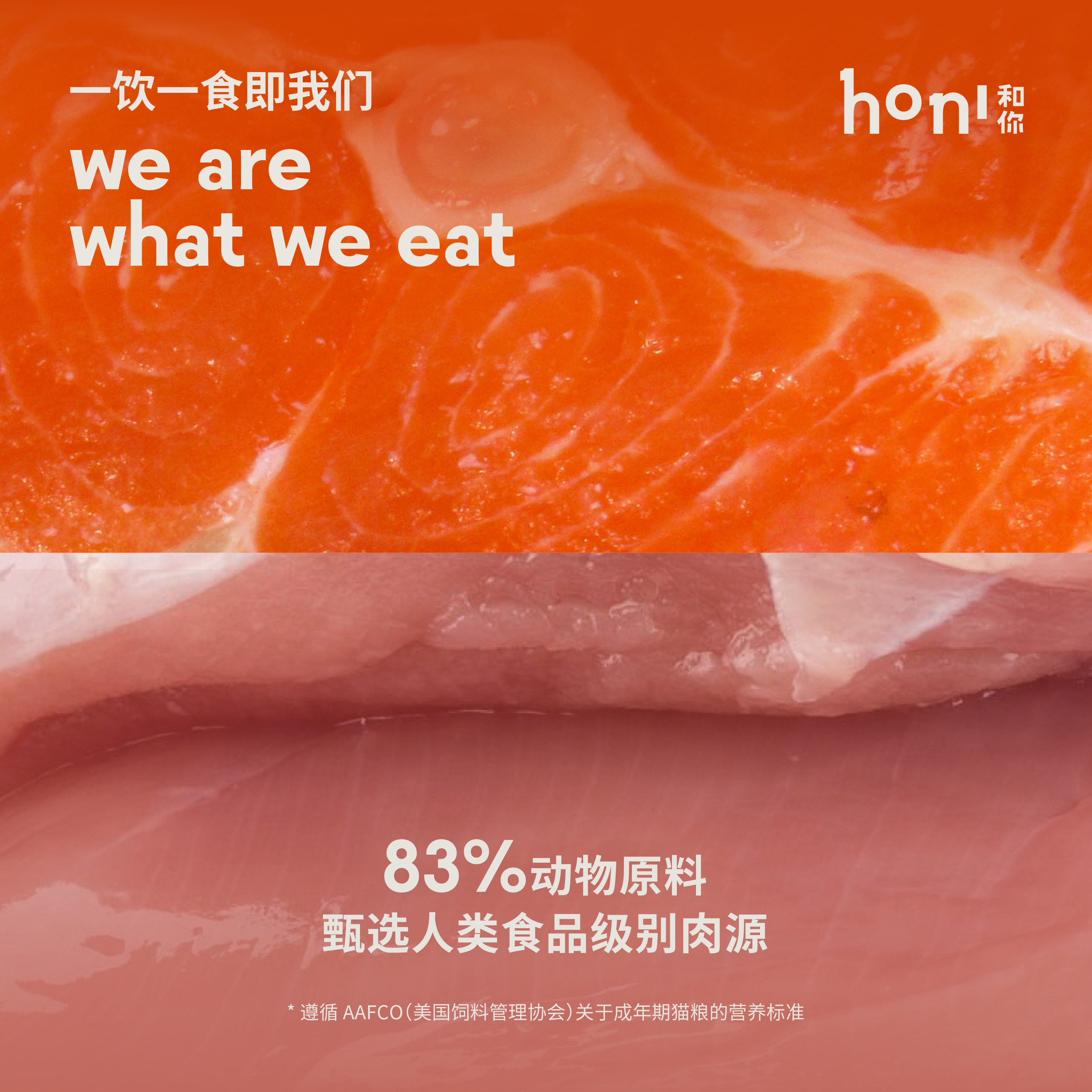 honi和你®全价活力体态成年期猫粮深海鱼鸡肉成猫无谷冻干双拼粮 - 图0