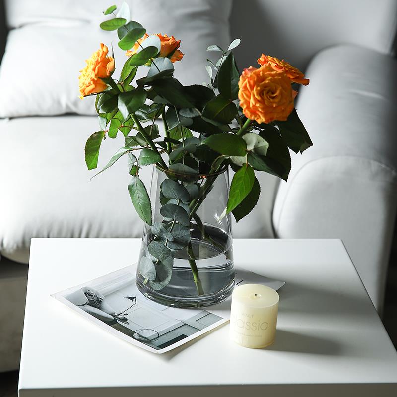 花瓶玻璃透明摆件客厅 插花水养轻奢高级感网红小鲜花瓶ins风 - 图2