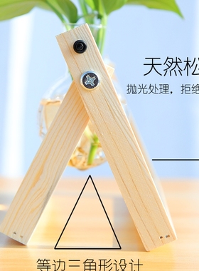 新品水培植物玻璃瓶水养桌面摆件宿舍办公室室内绿植小型盆栽绿萝