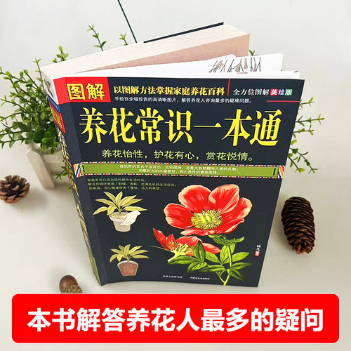 图解养花常识一本通家庭庭院养花都市生活花卉生长条件育苗栽培技术与管理繁殖病虫害防治春夏秋冬花卉的种类与管理食疗价值书籍 - 图3