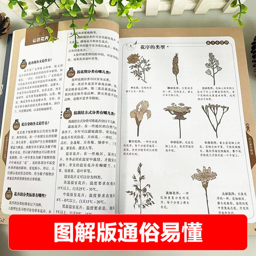 图解养花常识一本通家庭庭院养花都市生活花卉生长条件育苗栽培技术与管理繁殖病虫害防治春夏秋冬花卉的种类与管理食疗价值书籍 - 图2