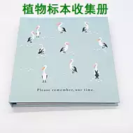 植物叶子标本 新人首单立减十元 21年7月 淘宝海外
