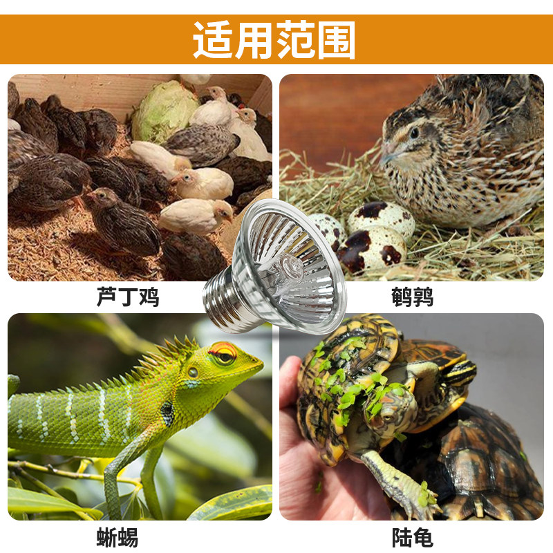 芦丁鸡保温灯小鸡育雏取暖灯宠物冬季加热温控器过冬神器恒温保暖,淘宝优惠券,粉丝福利购,淘宝优惠卷